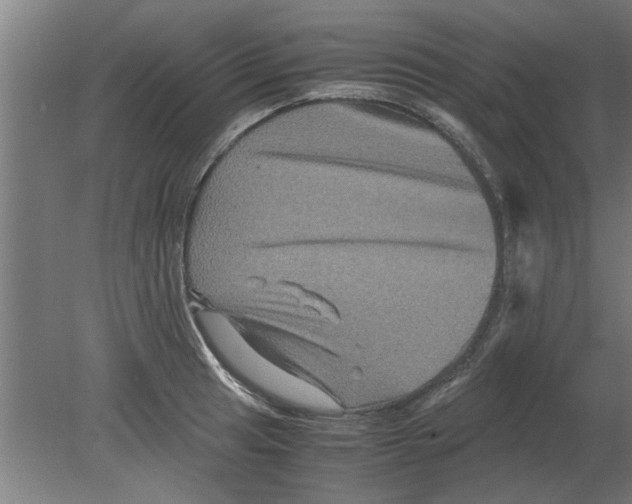 X0000080811041200701122235