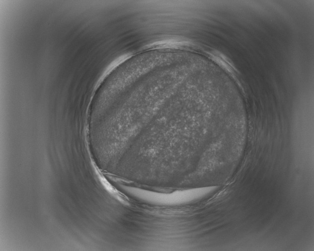 X0000080811042200701122235