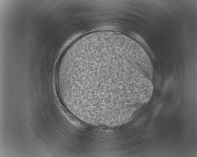 X0000080811043200701122235