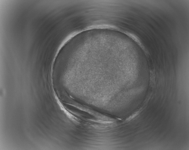 X0000080811046200701122236