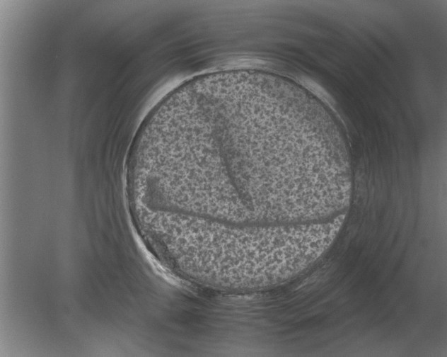 X0000080811047200701122236