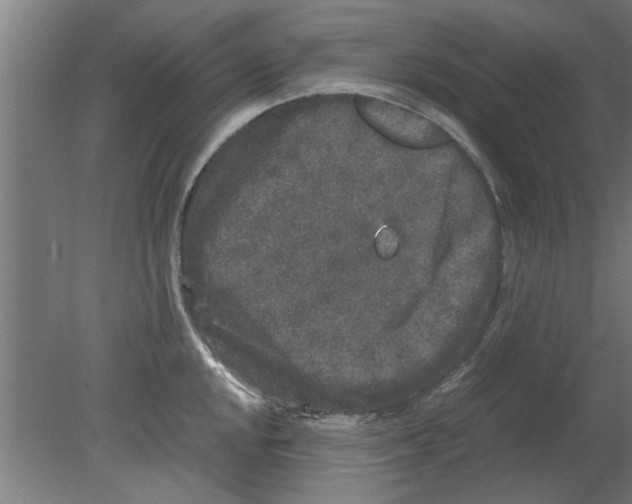 X0000080811048200701122236