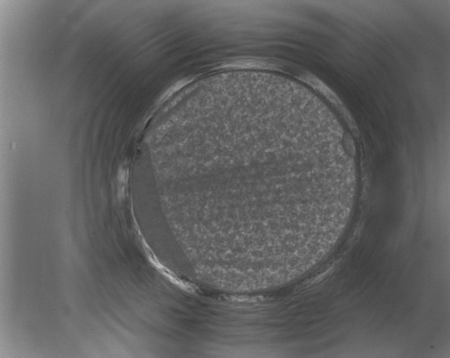 X0000080811049200701122236