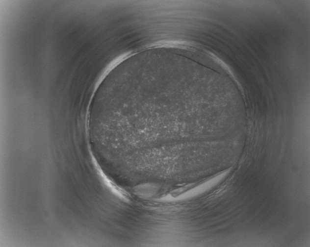 X0000080811050200701122236