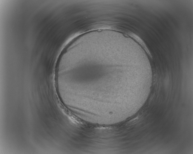 X0000080811051200701122236