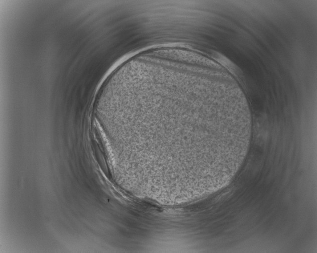 X0000080811052200701122236