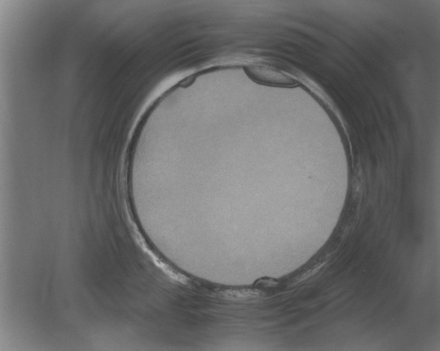 X0000080811053200701122236