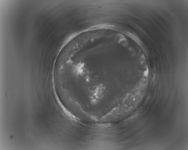 X0000080811055200701122236