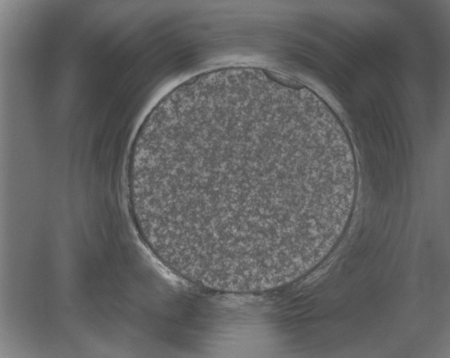 X0000080811056200701122236