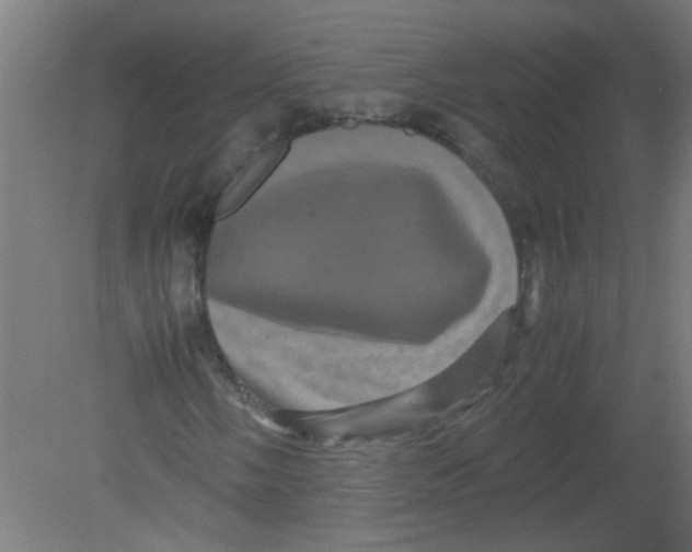 X0000080811058200701122235