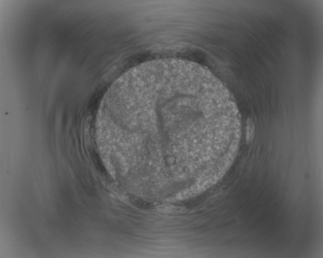 X0000080811059200701122235