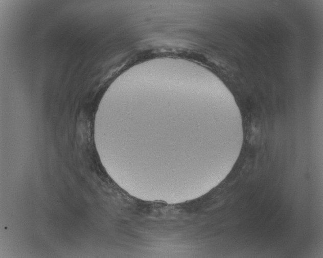 X0000080811061200701122235