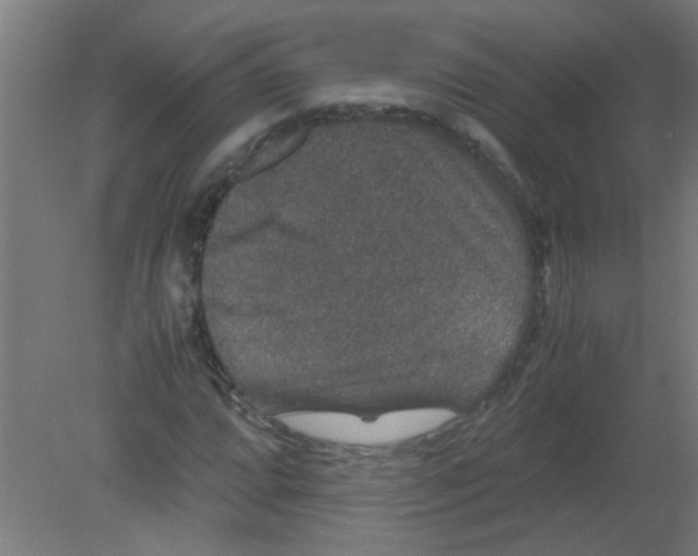 X0000080811064200701122235