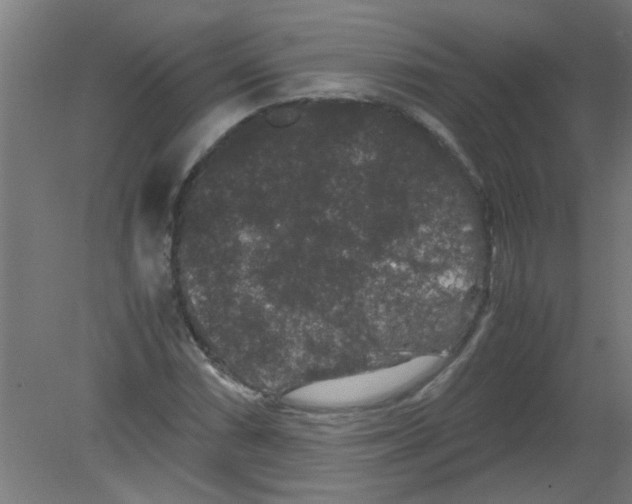 X0000080811066200701122235