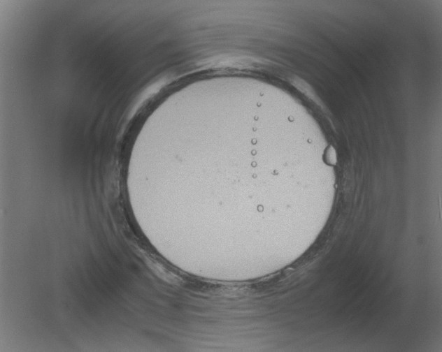 X0000080811067200701122235