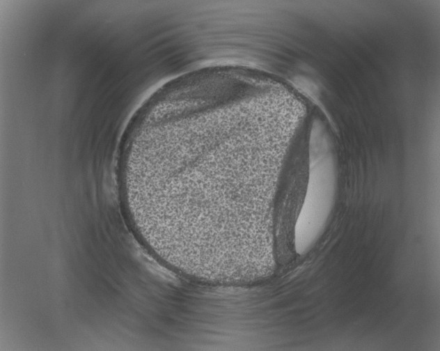 X0000080811068200701122235