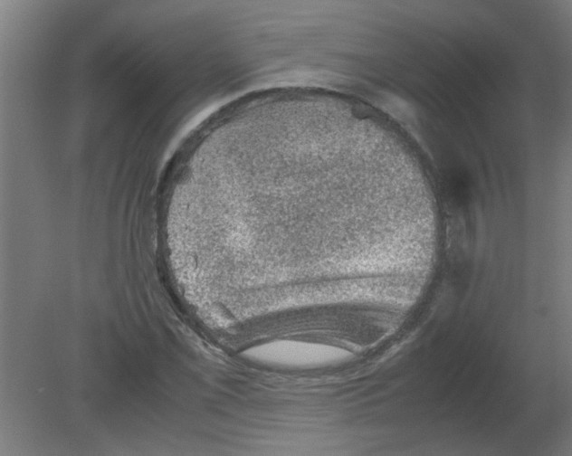 X0000080811069200701122235