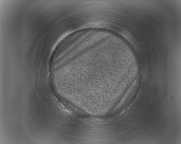 X0000080811070200701122235