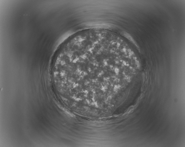 X0000080811071200701122235