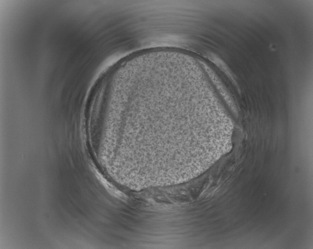 X0000080811072200701122235