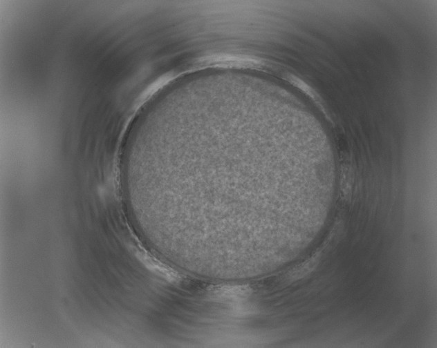 X0000080811074200701122235