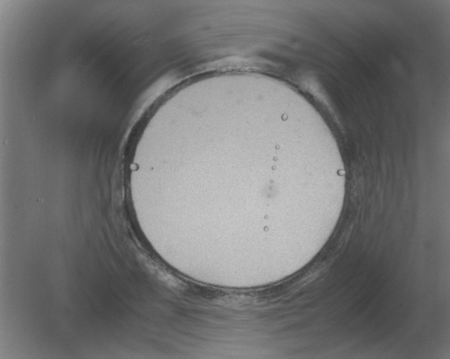 X0000080811075200701122235