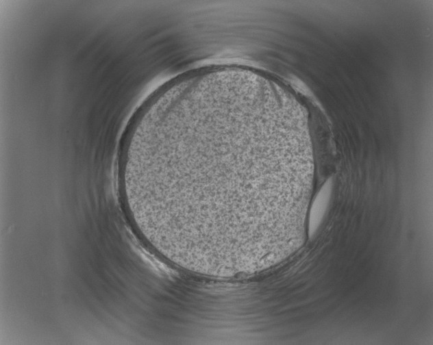 X0000080811076200701122235