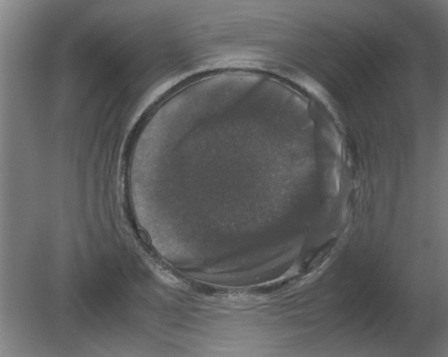 X0000080811077200701122235