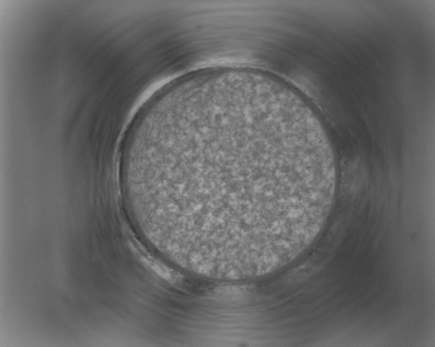 X0000080811078200701122234