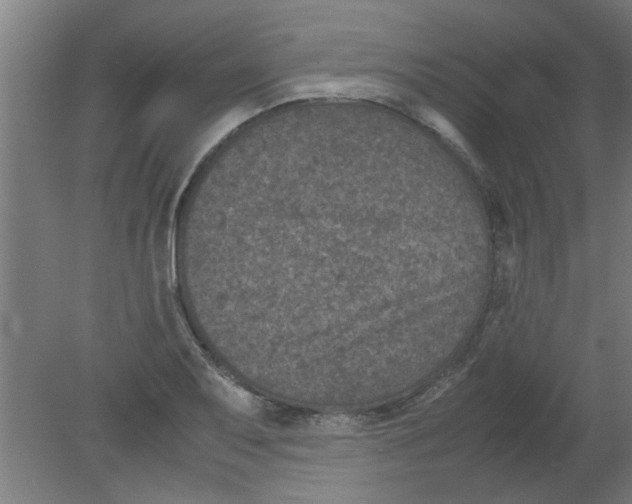 X0000080811079200701122234