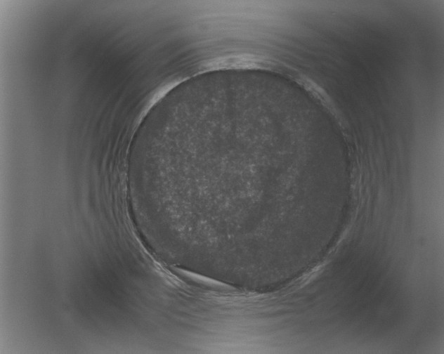 X0000080811081200701122234