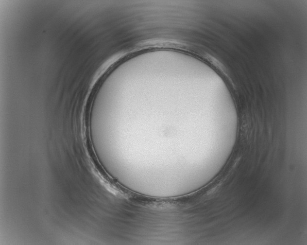 X0000080811082200701122234