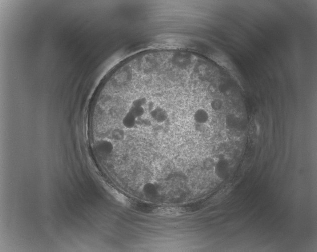 X0000080811083200701122234