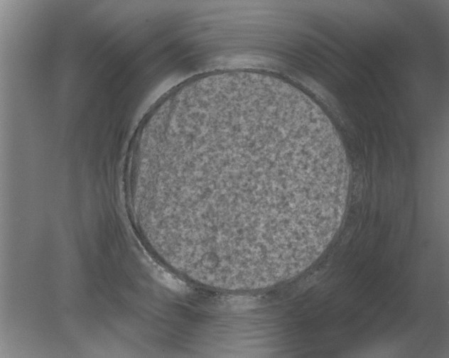 X0000080811086200701122234