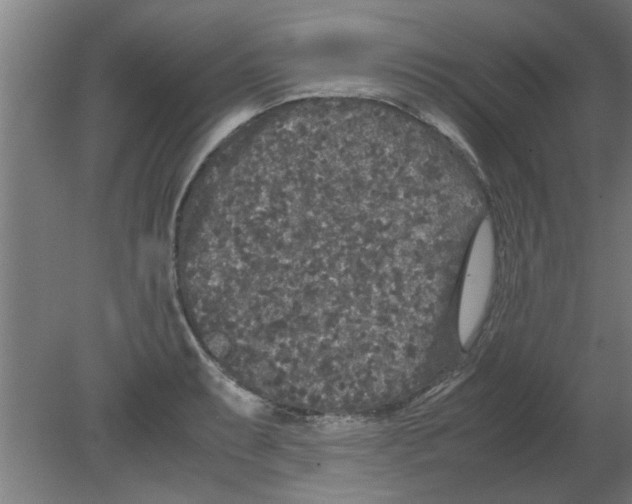 X0000080811087200701122234