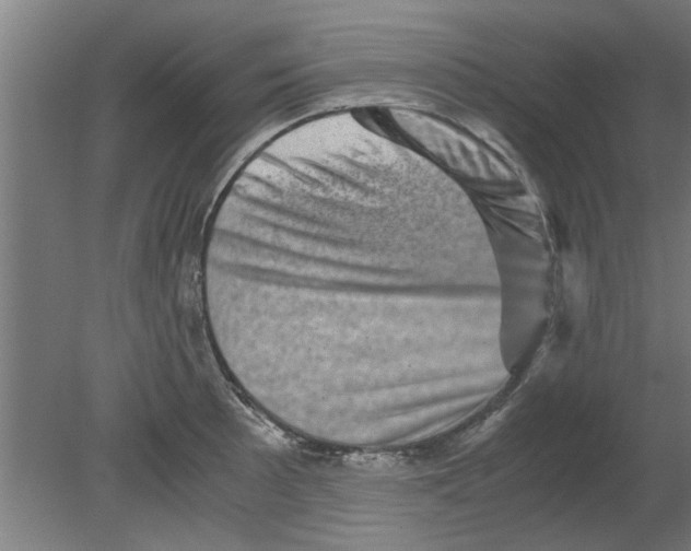 X0000080811089200701122234