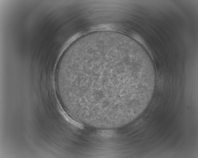 X0000080811090200701122234