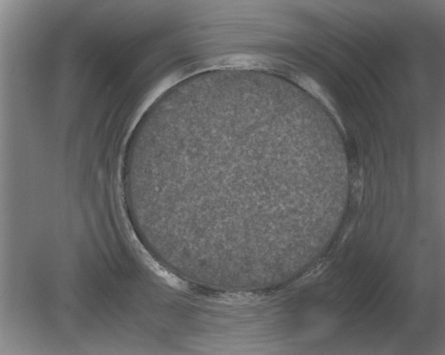 X0000080811091200701122234