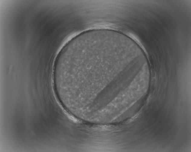 X0000080811093200701122234