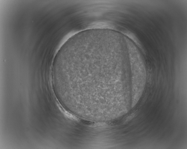 X0000080811094200701122234