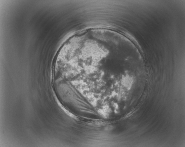 X0000080811095200701122234