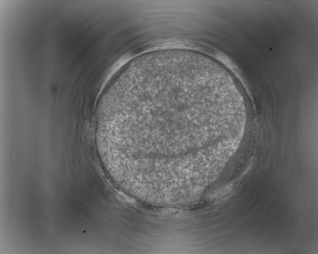 X0000080811097200701122234