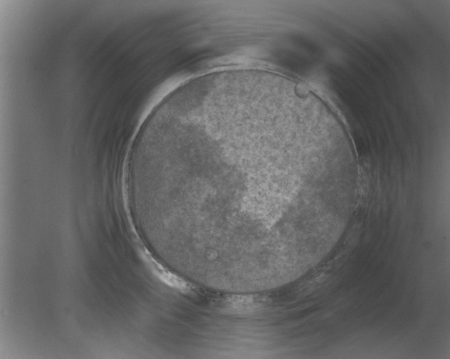 X0000080811098200701122234