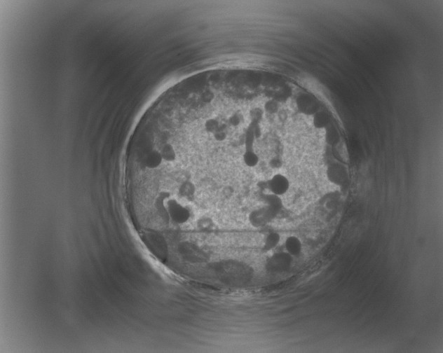 X0000080811099200701122234