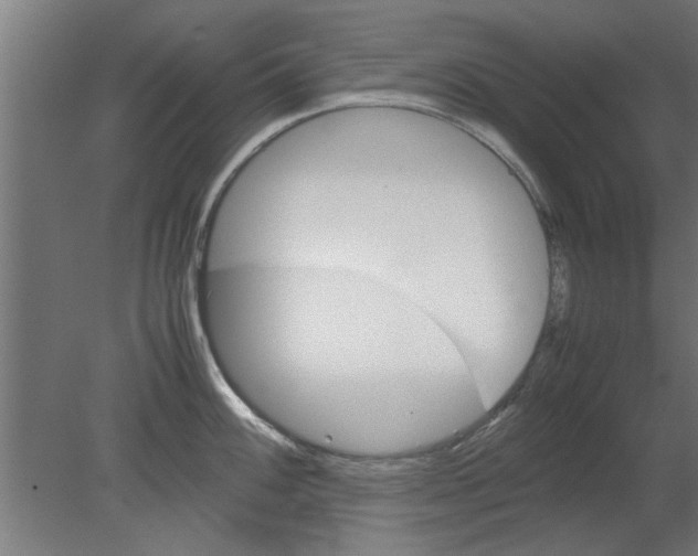 X0000080811100200701122234