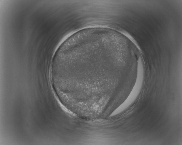 X0000080811101200701122234