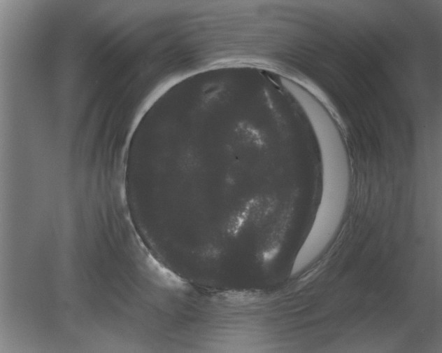 X0000080811102200701122234