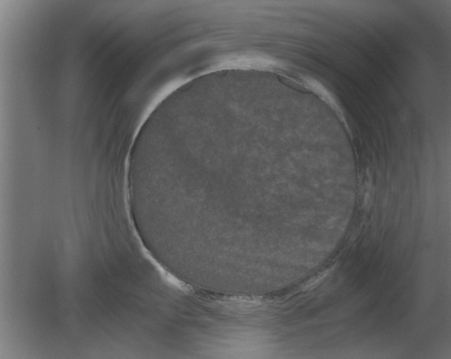 X0000080811103200701122234