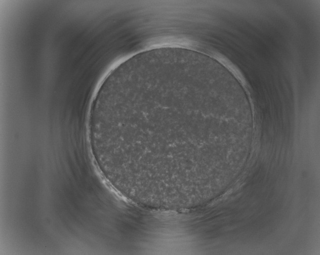 X0000080811104200701122234