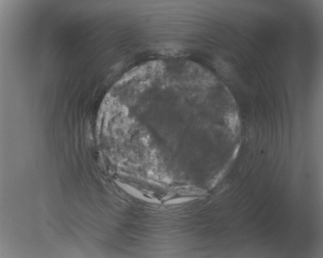 X0000080811106200701122233